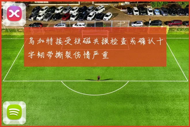 乌加特接受核磁共振检查或确认十字韧带撕裂伤情严重